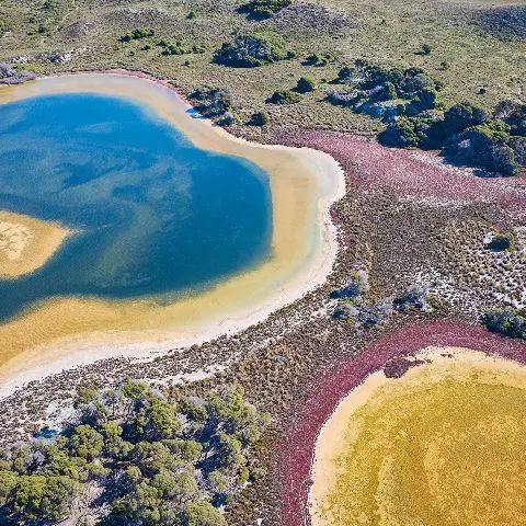 Salt Lakes in blue, pink and yellow on Wadjemup.