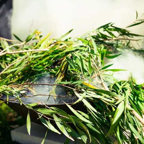 Branch and fire pit as part of smoke Ceremony